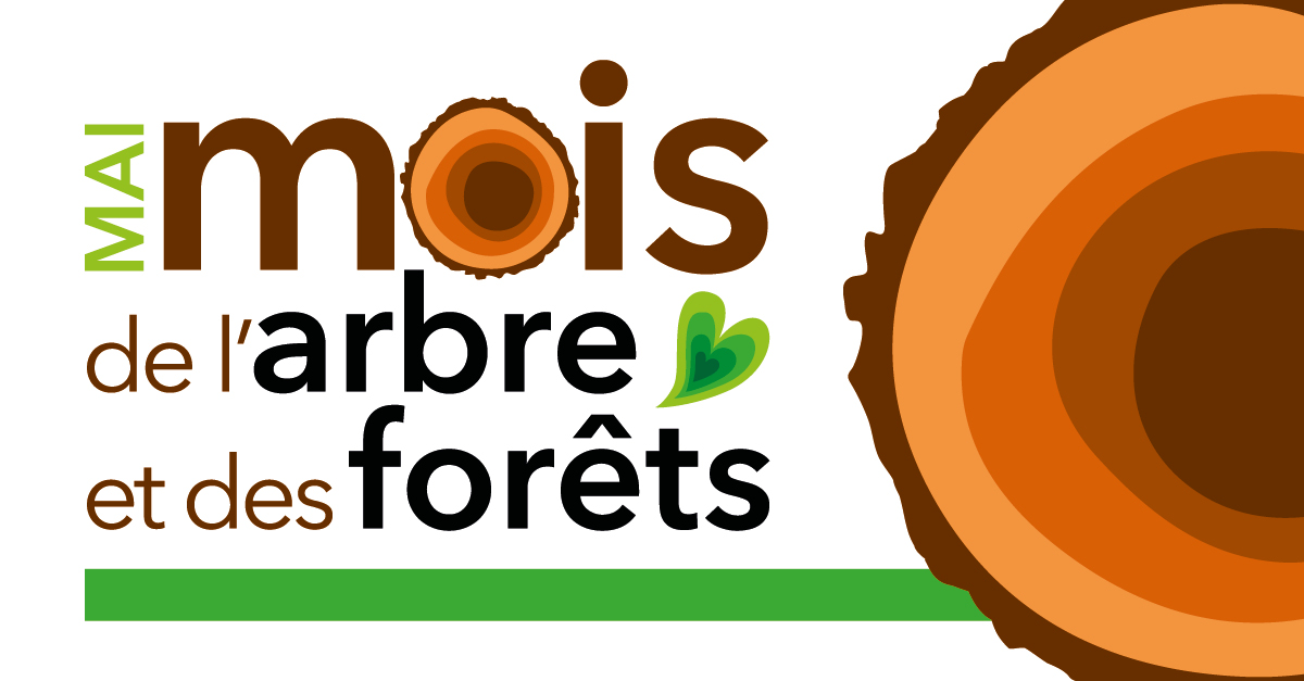 Tree and Forest Festival